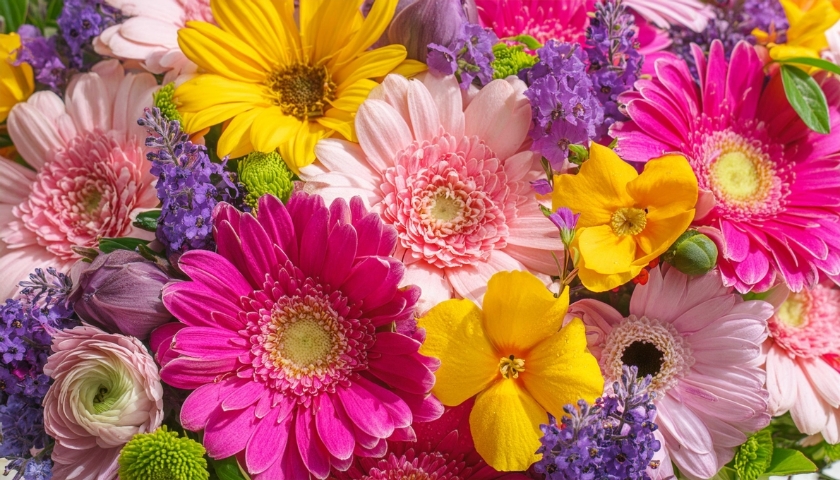 Seasonal Florist Choice